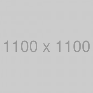 1100x1100
